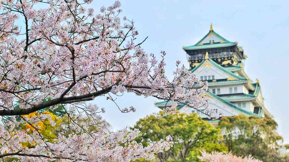 Japanese Encephalitis vaccine in Manchester